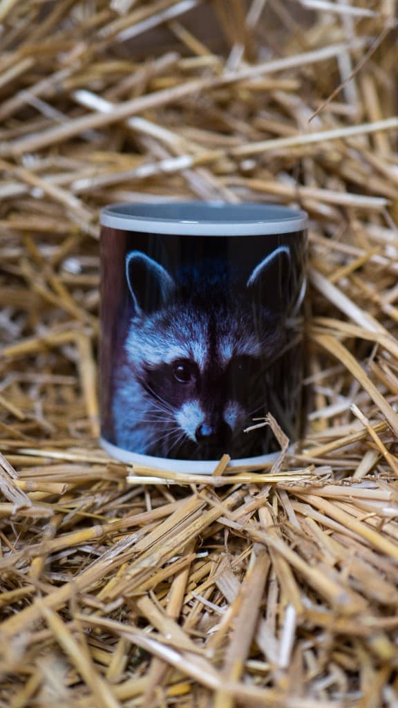 Waschbär-Motiv