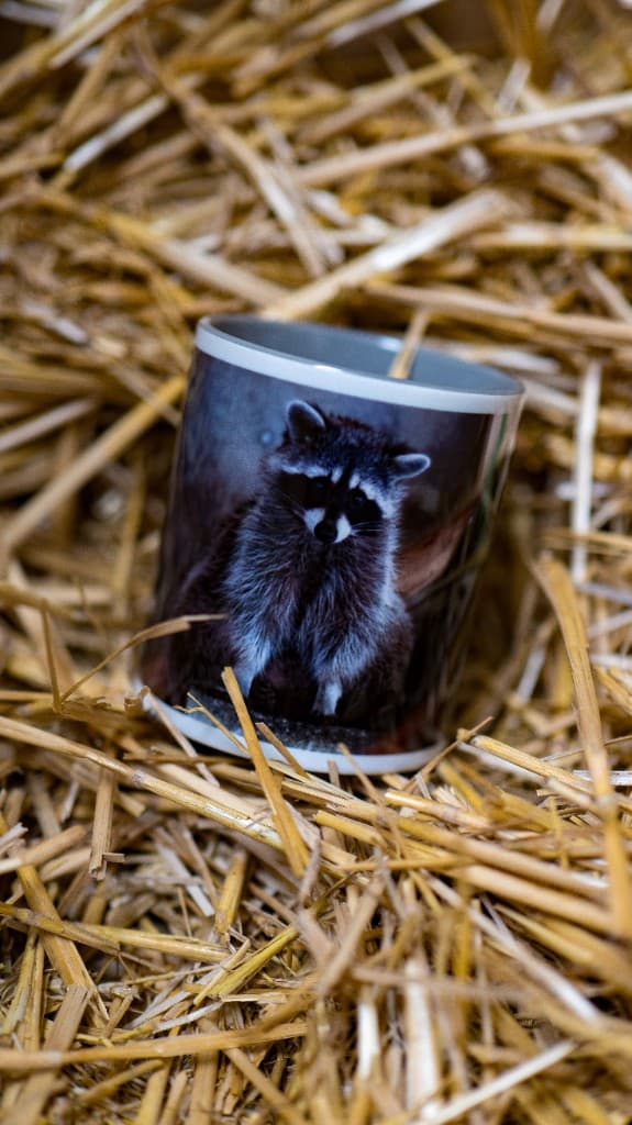 Waschbär-Motiv